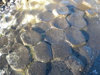 Stones at the Giants Causeway
