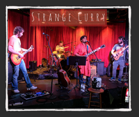 Strange Curry Live @ The Makers Series at Nashville Urban Winery