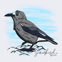 Snowbird by Emerita