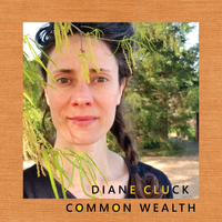 Common Wealth by Diane Cluck