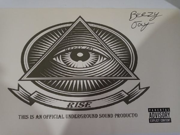Limited Edition Rise Album Poster. please Do Not Oder From Here!!!