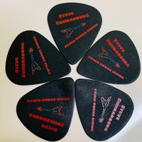 Limited Collector's Edition - Steven "Shredder" Sunnarborg Guitar Pics