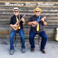 Mountain Blues Brothers by Mountain Blues Brothers