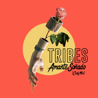 Amante Soñado (Club Mix) by Tribes