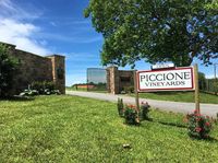 Piccione Vineyards