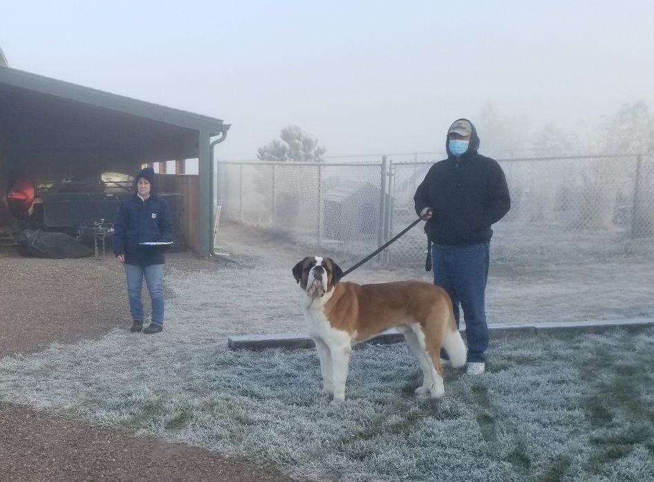 Electric City Kennel Club Farm Dog