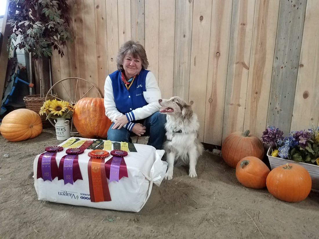 Electric City Kennel Club Scent Work