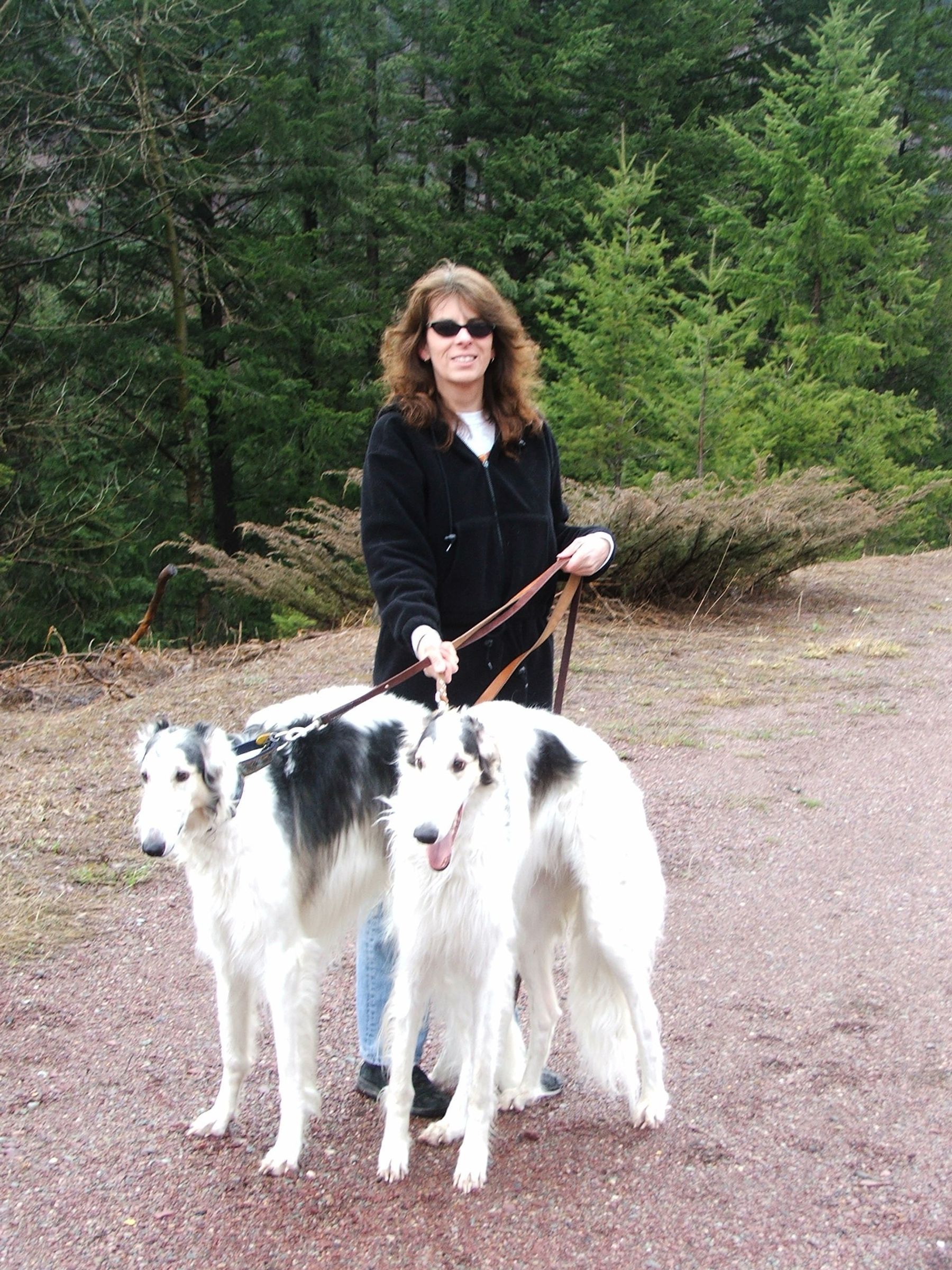 Electric City Kennel Club Featured Member