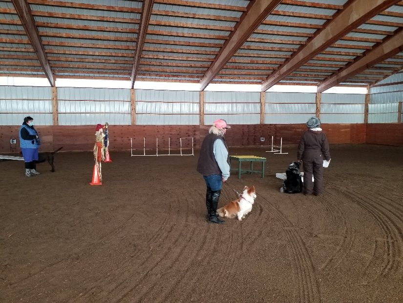 Electric City Kennel Club AKC Agility