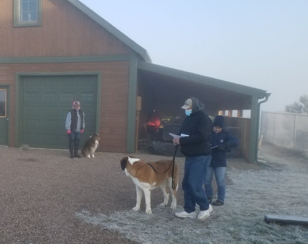 Akc farm best sale dog certification