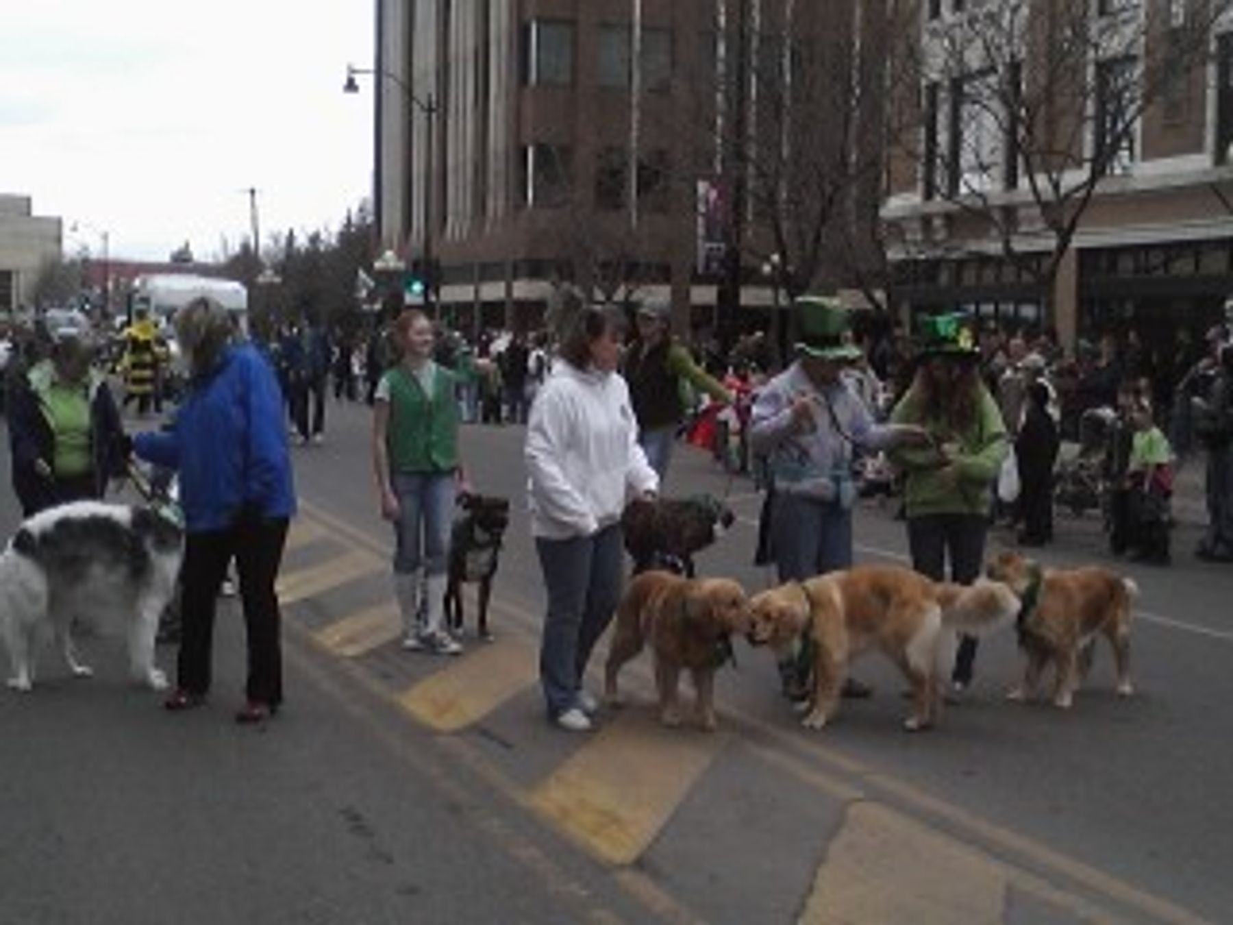 Electric City Kennel Club St Patrick's Day Parade 2022