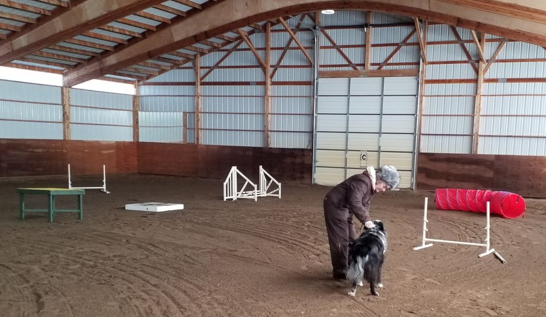 Electric City Kennel Club AKC Agility