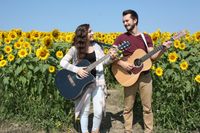 Music on the Green Series