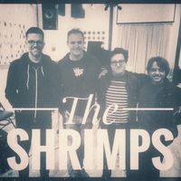 The Shrimps