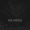 Dark Countries: Bob Spring & the Calling Sirens - Vinyl