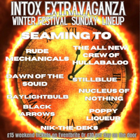 Intox Extravaganza Winter Festival