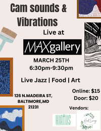Cams Sounds & Vibrations Live at MAXgallery