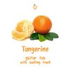 Tangerine (Guitar Tab & Backing Track)