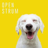 Open Strum CD by Open Strum