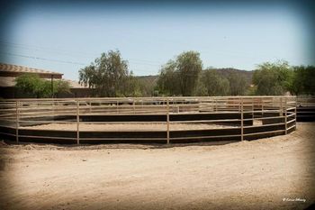 One of our three round pens showing the 40" rubber belting around the walls and gates.
