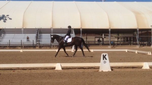 Rachel and Gunny showing at Second Level Test 1 at the ADA Spring Celebration in April 2016