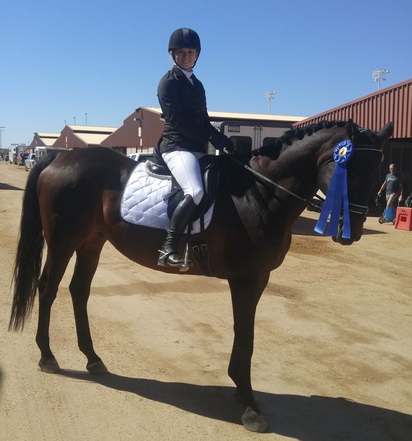 Rachel and Gunny taking first place in the 2nd Level Test 1 at the ADA Spring Celebration at WestWorld in April 2016