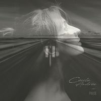 PAUSE de Cécile Andrée