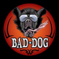 Bad Dog is Live at a private event