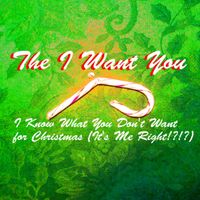 I Know What You Don't Want For Christmas (It's Me Right​!​?​!​?​) by The I Want You