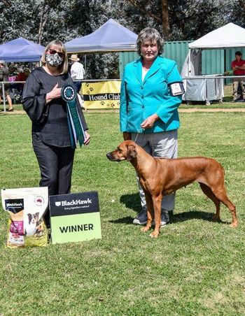 Gaia Best Bred By Exh in Show
