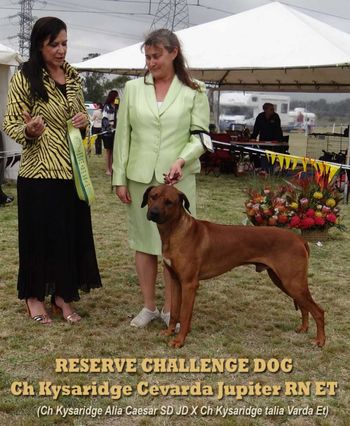 Res Dog CC National show
