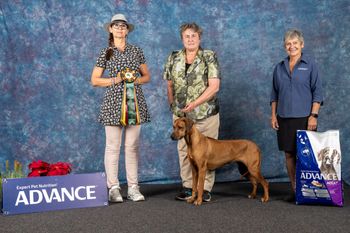 Punky - Neuter Best In Show
