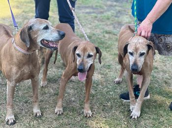 family reunion. Jack, Sasha and CeeCee
