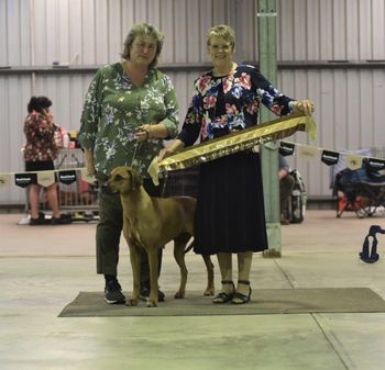 Gaia - Bred By Exhibitor in Show - Sydney
