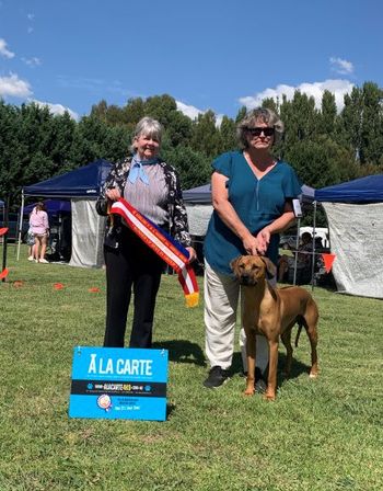 Runner Up Best in Group - Adelong show March 2023
