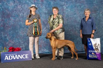 Ki Best Opposite Junior in show
