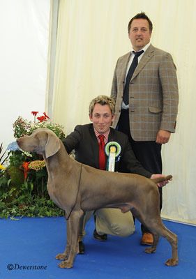 BOB and Group 4 at Bath Kennel Club
