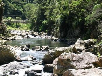 Karangahape Gorge
