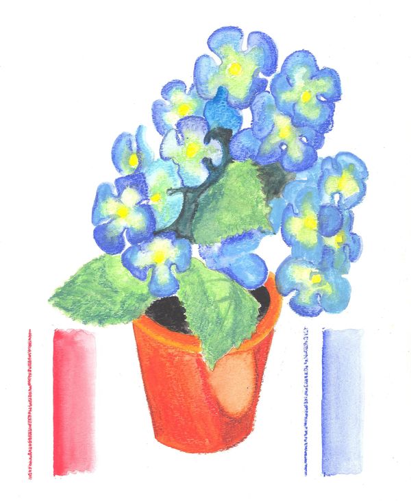 A painting of red pot with blue flowers shows good blending qualities of Caran de Ache Watercolor Pastels.