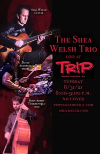 Shea Welsh Trio