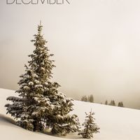 December (Songbook - Digital PDF)