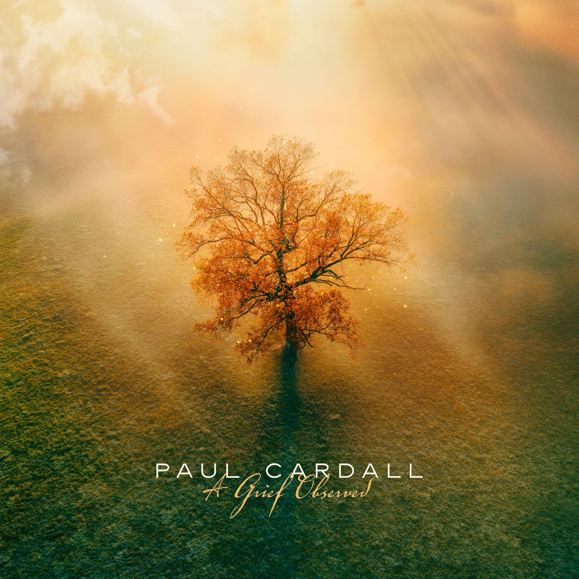 Paul Cardall