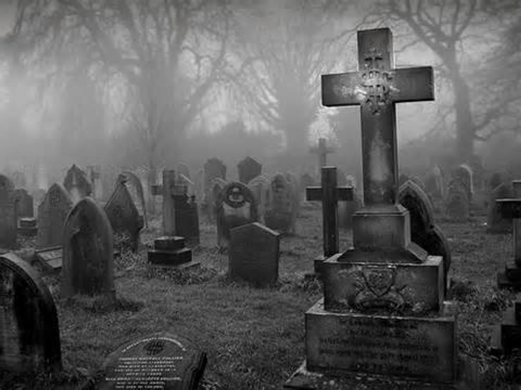 洋楽 YOUNG TRAV/GRAVEYARD SHIFT mqdefault.jpg