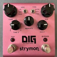 Sean's Strymon DIG delay pedal