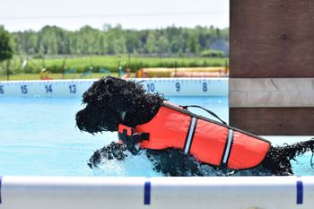 Winnie loves the water
