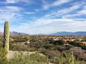 This image is of landscape just outside Tucson, Arizona.
