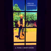 A Tune That I Don't Know by Stevie Cornell