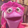 *RUSH* Special Occasion Song Video w/ PUPPET Greeting