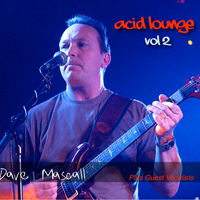 Acid Lounge vol 2 by Dave Mascall