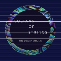 Sultans Of Strings by The Lowly Strung